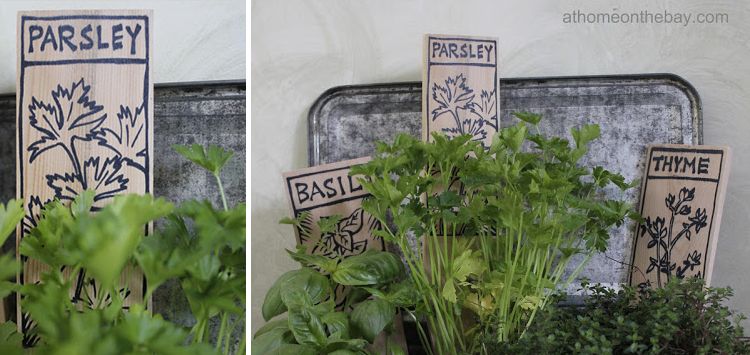 Home DIY Projects | DIY Kitchen Herb Garden 