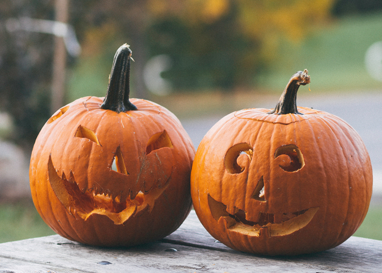Pumpkin Patches near Cincinnati Ohio