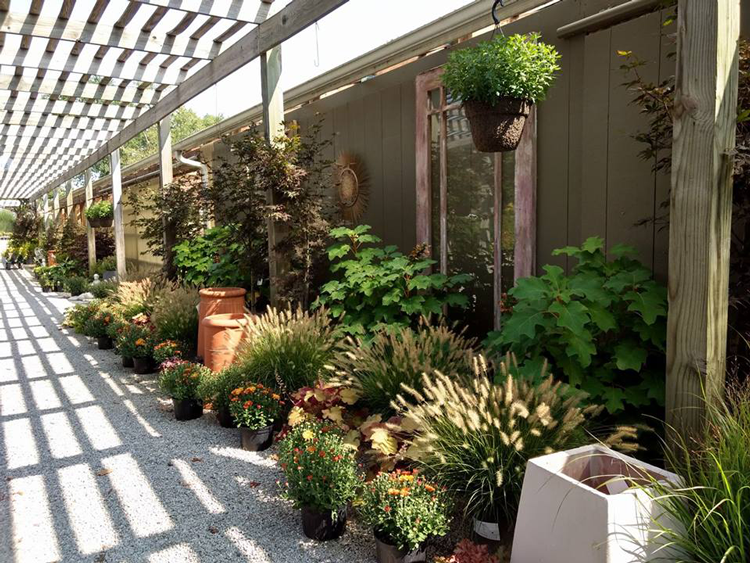 Garden Centers in Akron Canton Ohio
